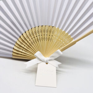 hand fans 24012012