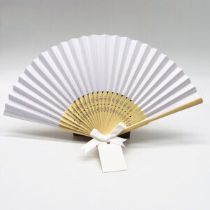 hand fans 24012013